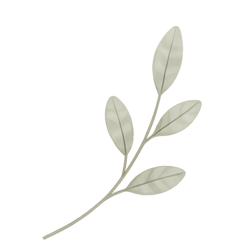 Decorative image